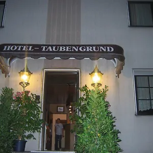 https://airport-hotel-zum-taubengrund.hotelsheidelberg.net